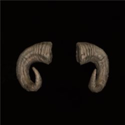 The Horns of Z'agol